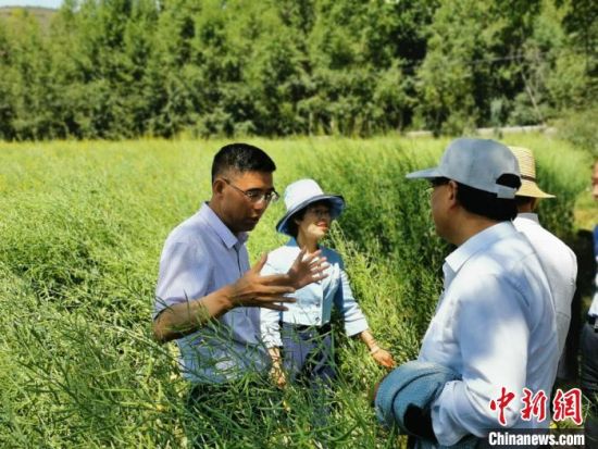 圖為九三學社青海省委主委杜德志(左一)在基層調研。受訪者供圖