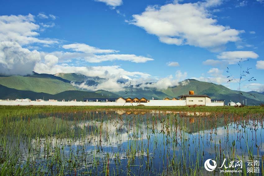 納帕海濕地風景。呂昊辰攝