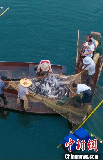 捕魚現場?！≈鬓k方供圖