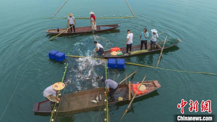 捕魚現場?！≈鬓k方供圖