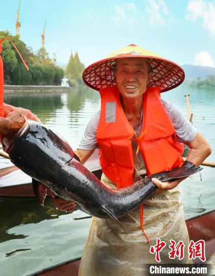 工作人員展示捕撈成果?！≈鬓k方供圖