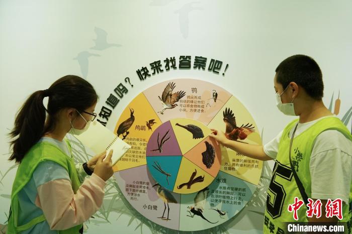 圖為小朋友在青海西寧湟水國家濕地公園科普館內參觀學習?！●R銘言 攝