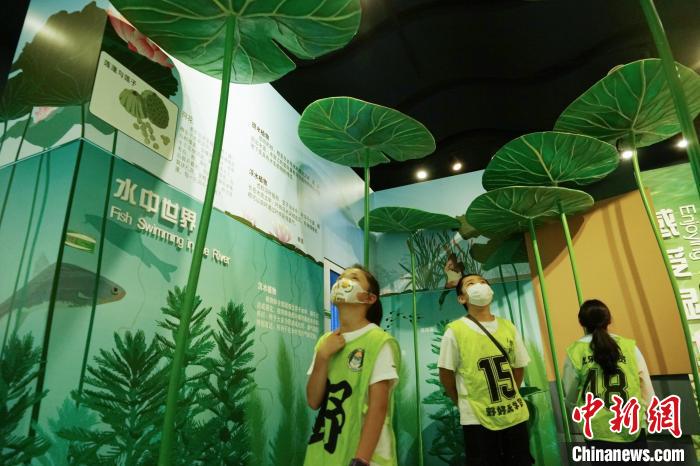 圖為小朋友在青海西寧湟水國家濕地公園科普館內參觀學習?！●R銘言 攝