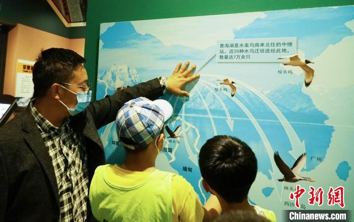 圖為小朋友在青海西寧湟水國家濕地公園科普館內參觀學習?！●R銘言 攝