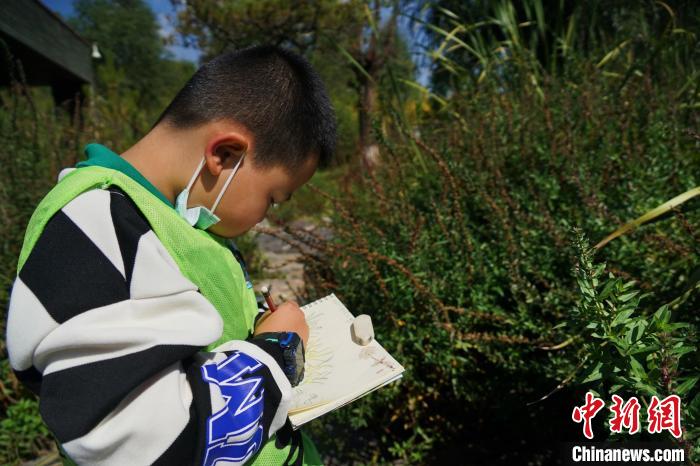 圖為小朋友在青海西寧湟水國家濕地公園內認識植物并進行繪畫?！●R銘言 攝