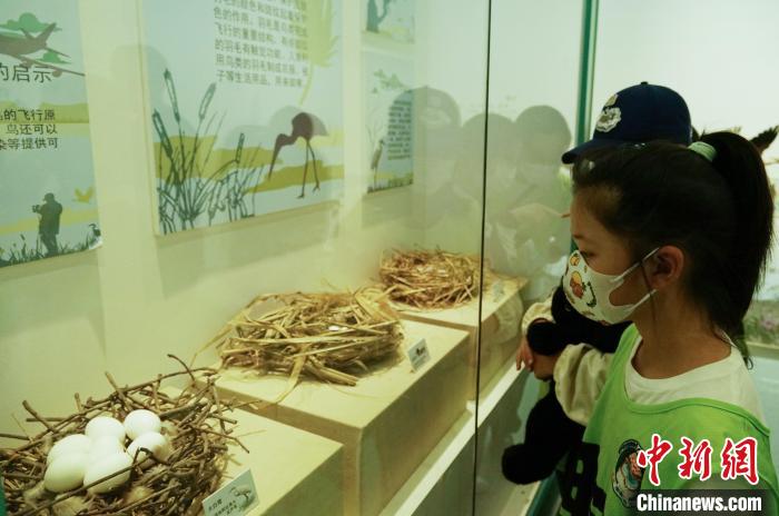圖為小朋友在青海西寧湟水國家濕地公園科普館內參觀學習?！●R銘言 攝