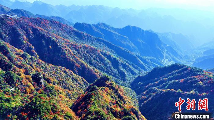 巴山大峽谷彩林迎來最佳觀賞期?！埰?攝