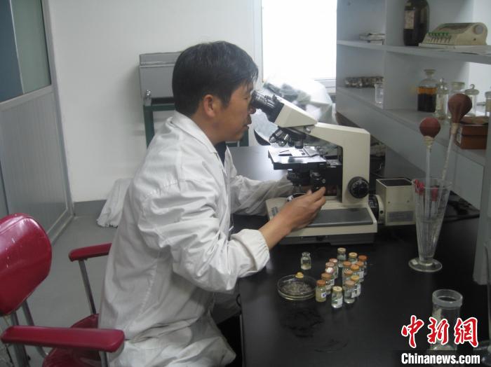 資料圖為研究團隊進行實驗室寄生蟲分類鑒定?！?青海省畜牧獸醫科學院供圖