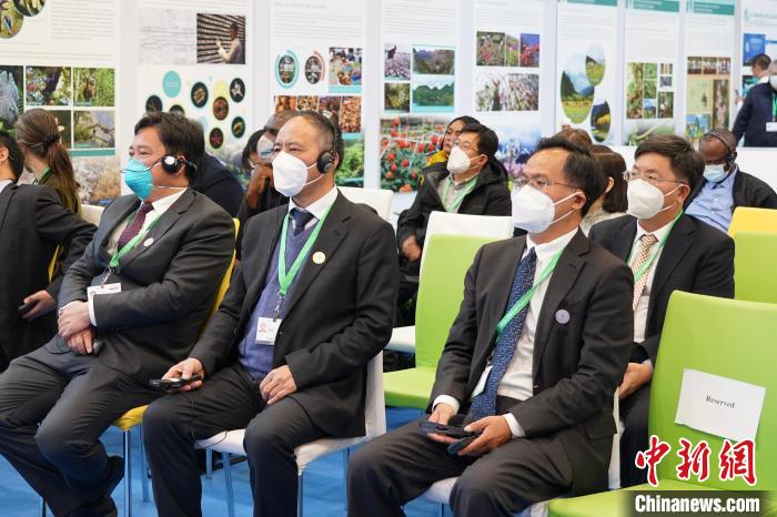圖為極小種群物種和生物多樣性保護邊會現場?！≡颇鲜×謽I和草原局供圖