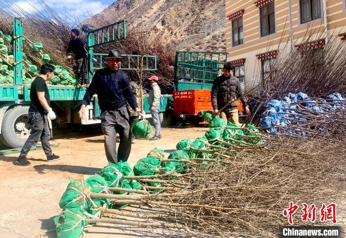民眾搬運苗木?！〔际忻⒖悼h委宣傳部供圖