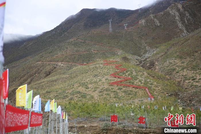 圖為拉薩南北山綠化工程拉薩曲水縣才納村5號片區?！∝暣_ 攝