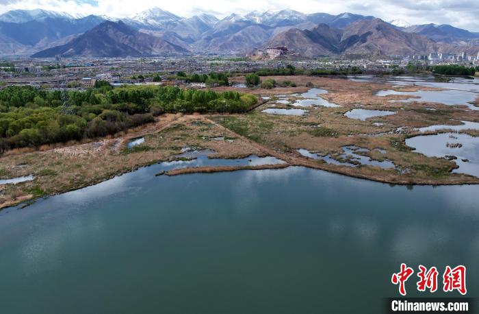 圖為拉薩拉魯濕地。(無人機照片) 李林 攝