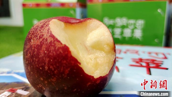 圖為通麥村特色甜心蘋果?！∝暽＠?攝