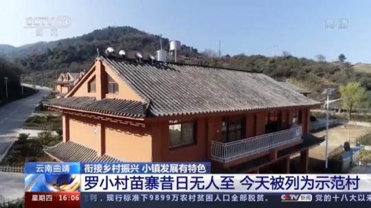 種蘑菇、養駱駝...。。特色產業助力鄉村振興走新路