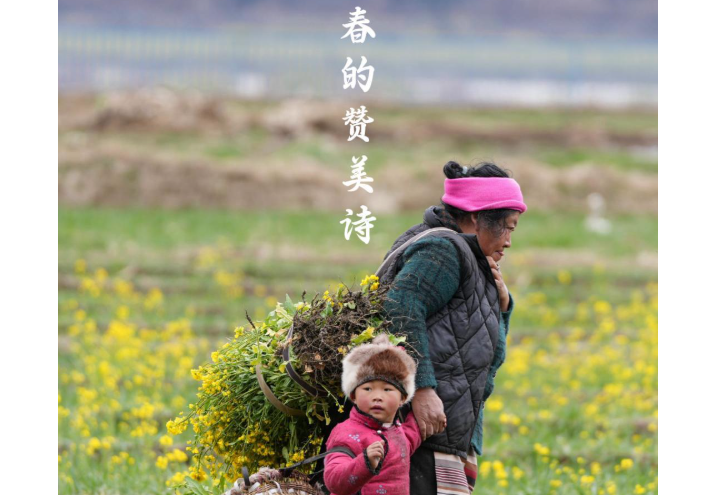 企業微信截圖_20250324212729.png