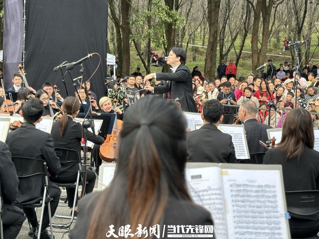 貴陽路邊音樂會·貴安櫻花園專場交響樂現場。丁亞 文丹 攝