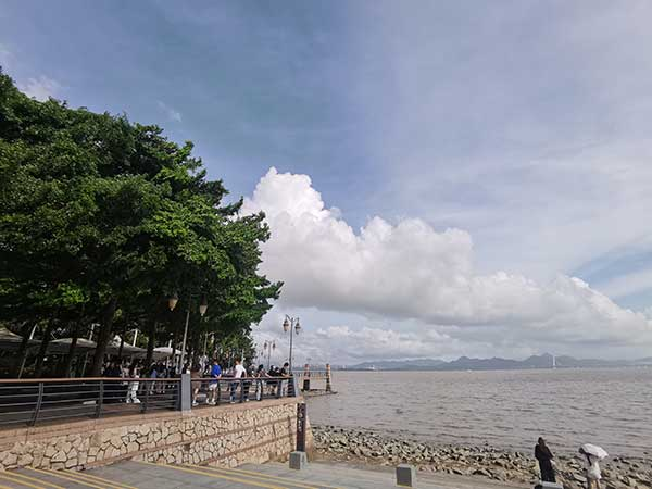 紅樹林灘涂沿線一角。人民網記者 張素玲攝