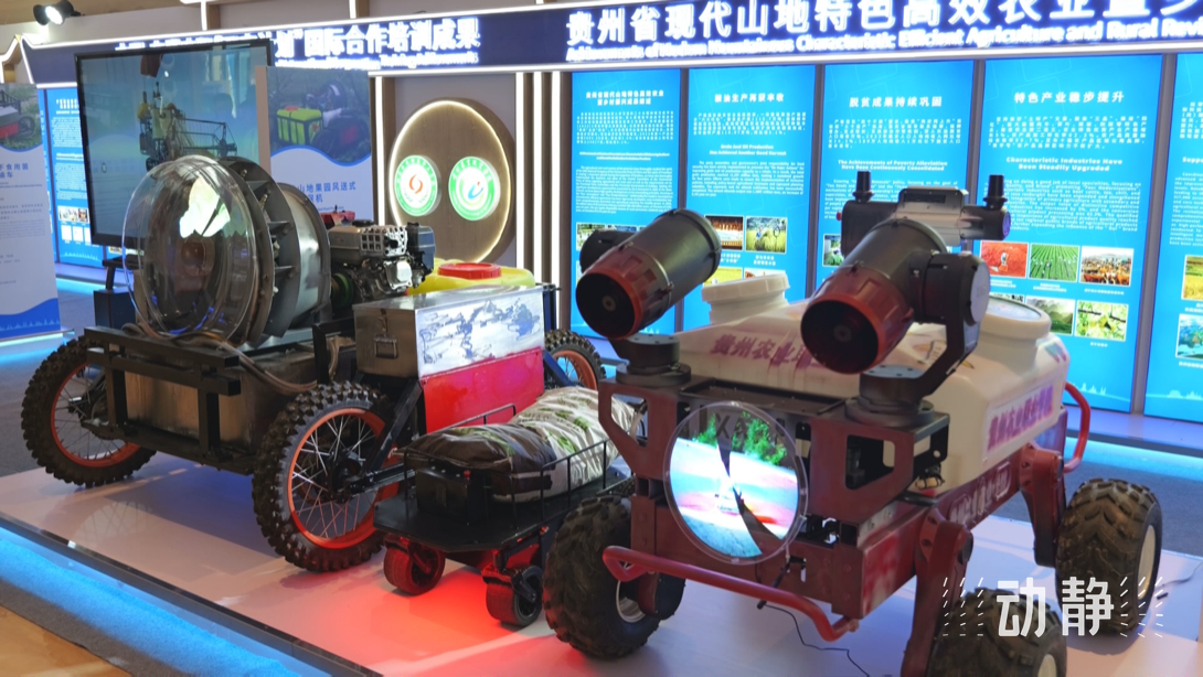 展示成果分享經驗，中國—東盟教育交流周深化合作共創未來！