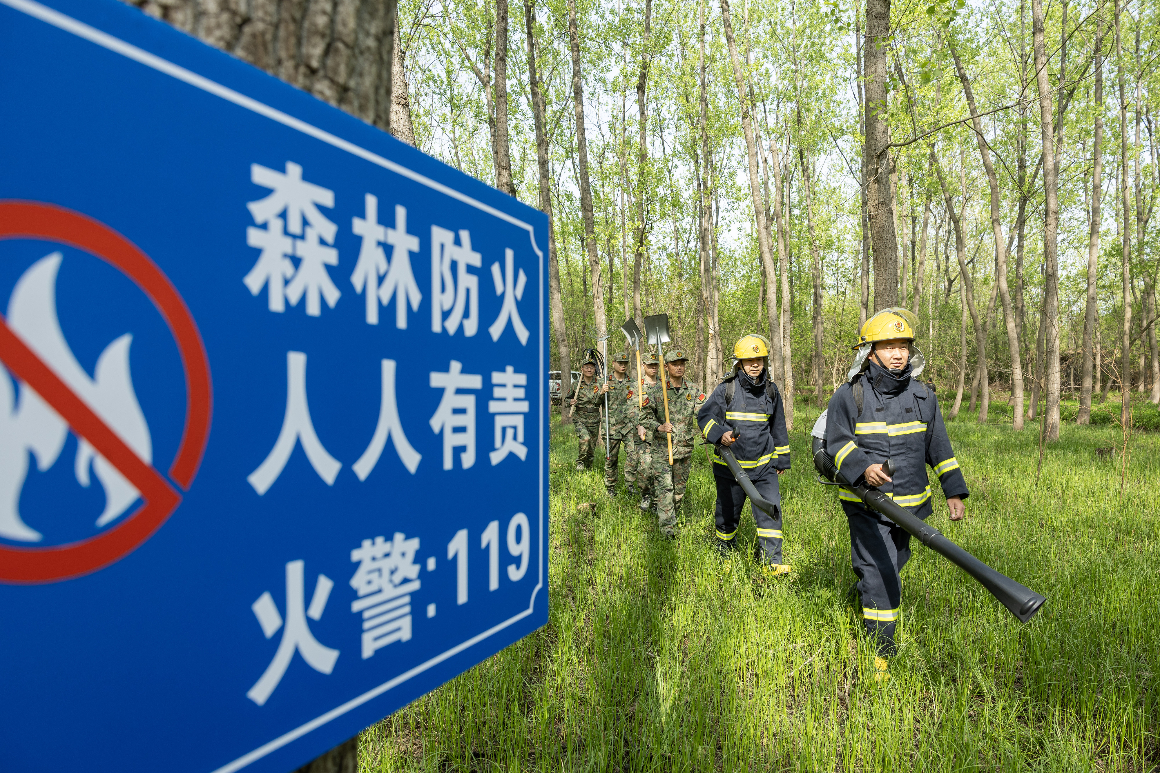 2024年4月9日，合肥市大房郢水庫水源保護地廬陽經濟開發區段，基干民兵正在林間巡查火災隱患。