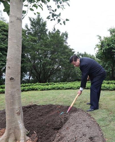 2012年12月7日至11日，習近平在廣東省考察工作。這是8日上午，習近平在深圳蓮花山公園種下一棵高山榕樹。新華社記者 蘭紅光 攝