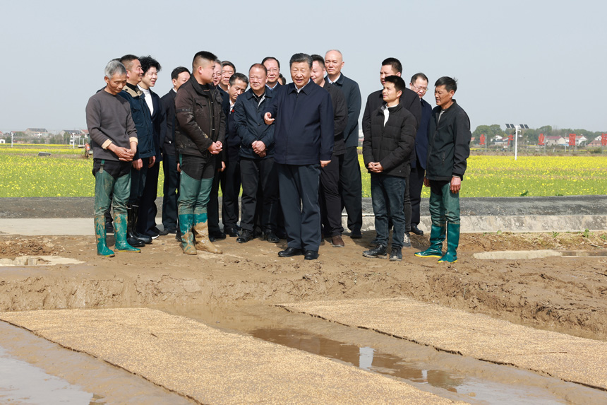 2024年3月18日至21日，中共中央總書記、國家主席、中央軍委主席習近平在湖南考察。這是19日下午，習近平在常德市鼎城區謝家鋪鎮港中坪村走進田間，察看秧苗培育和春耕備耕進展。新華社記者 王曄 攝