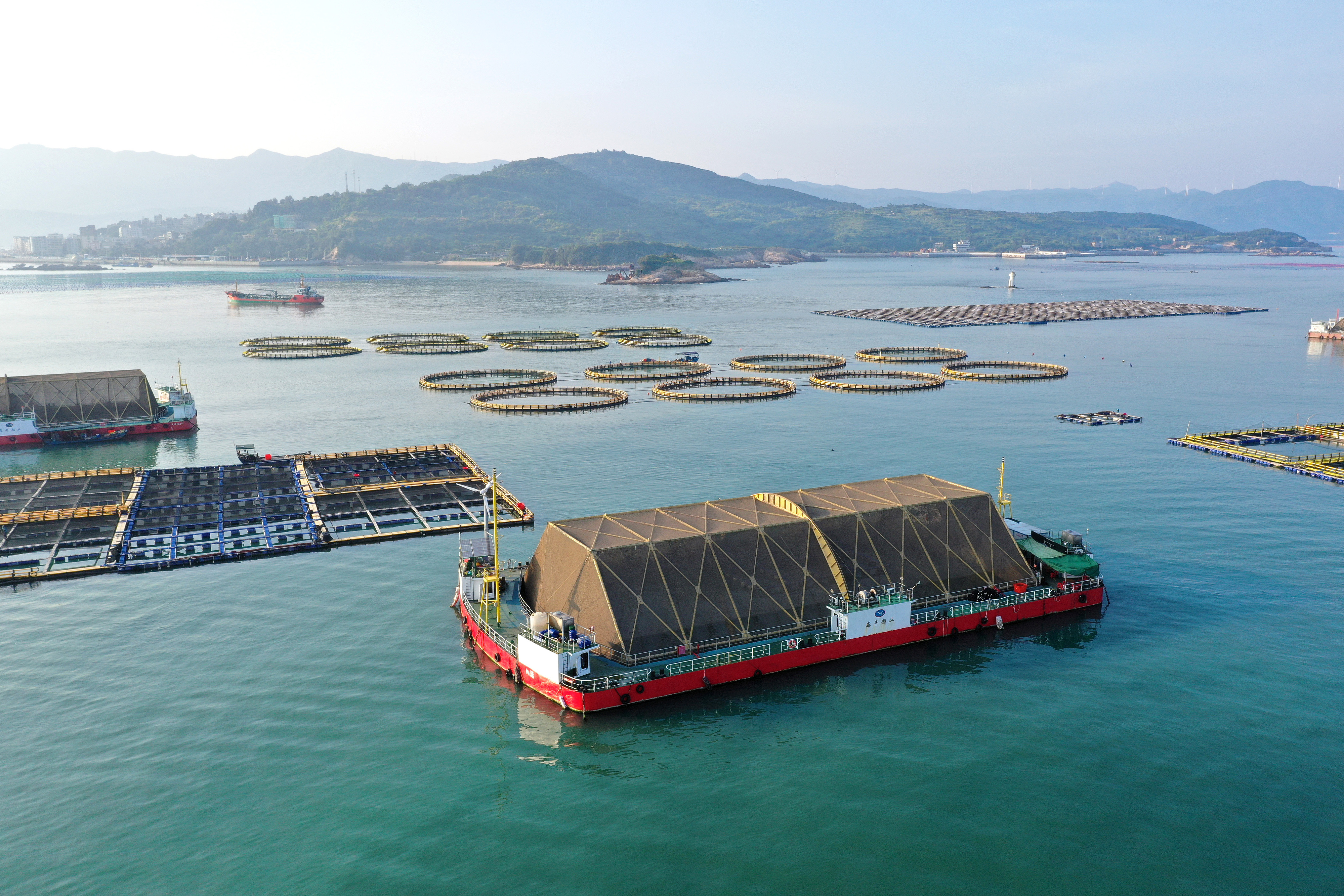2024年9月10日拍攝的福建省福州市連江縣定海灣海域的現代化“海上糧倉”。