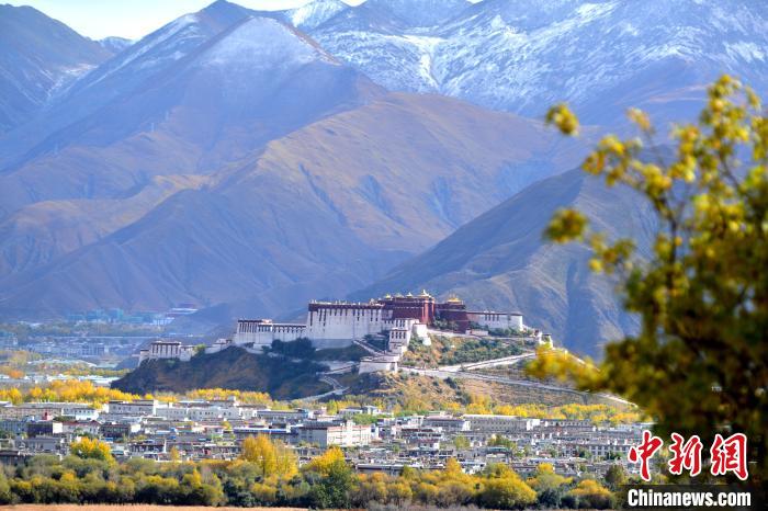 10月24日，雪山、布達拉宮和秋色組成“風景畫”?！〗w波 攝
