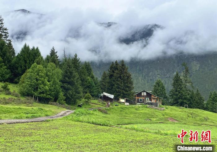 6月10日，魯朗小鎮高山牧場景區風光?！∪轿木?攝