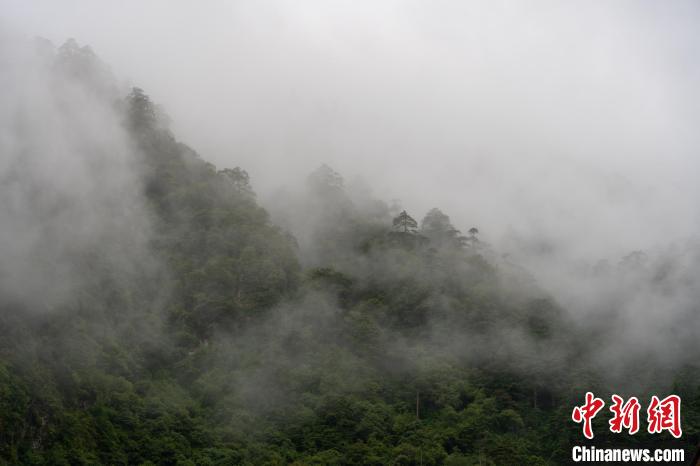 雨后勒布溝的云霧?！〗w波 攝