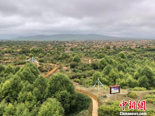 江蘇援青解“生態題”：援“建”沙漠綠洲幫“凈”地下水源