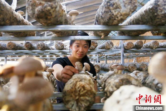 甘肅天?！跋愎椒蚱蕖毕律饺氪ǎ捍笈锢镉板X景”
