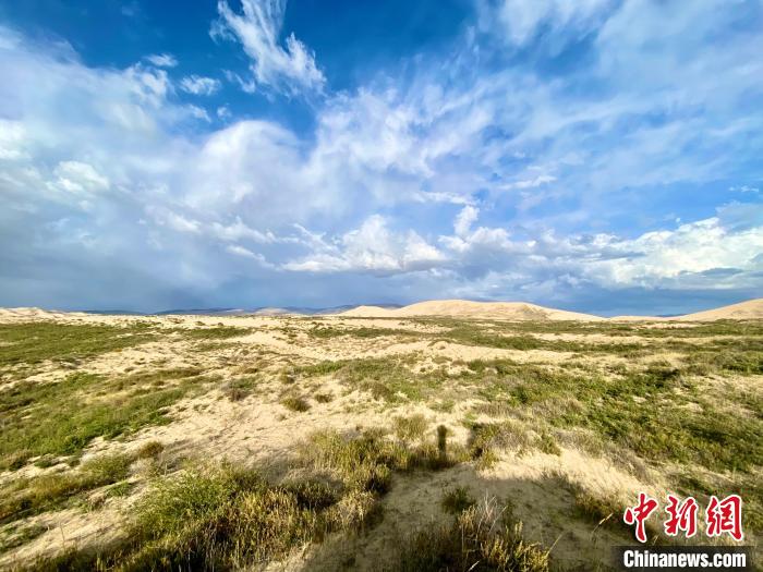 圖為關停四年后的沙島景區現狀?！±罱瓕?攝