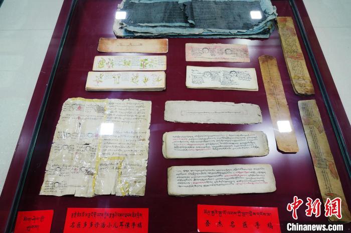 圖為藏醫古集文獻和藏醫臨床原始手稿?！●R銘言 攝