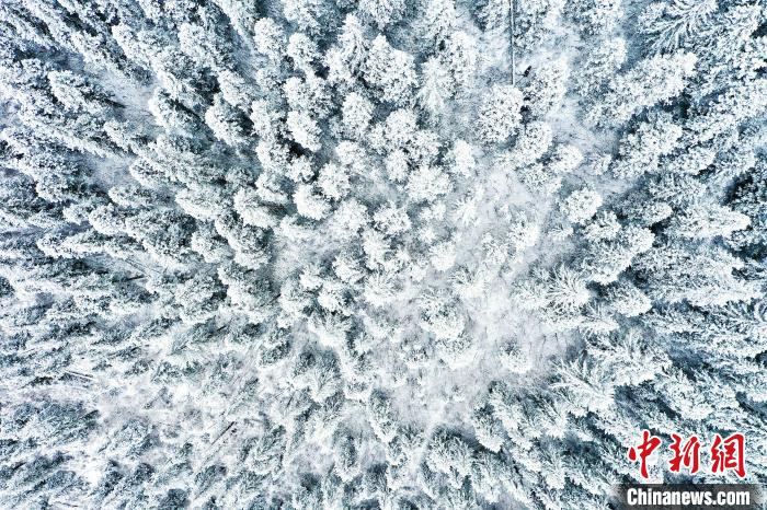 壤塘的雪后美景?！∪捞量h融媒體中心供圖