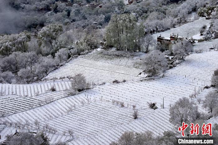 雪后的高山田間如畫?！±钣腊?攝