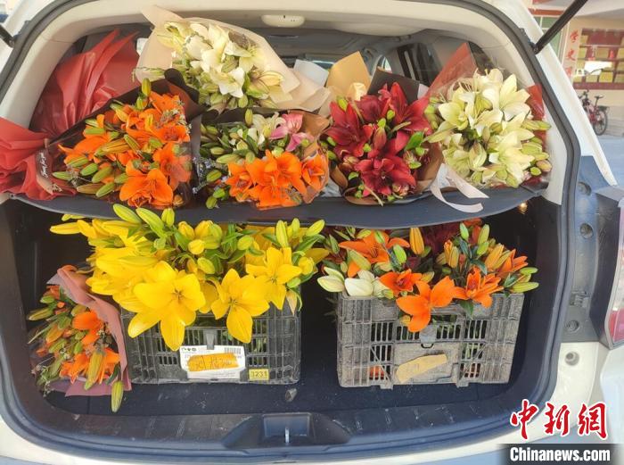 剛剛采摘下來的百合花?！∪捞量h委宣傳部供圖