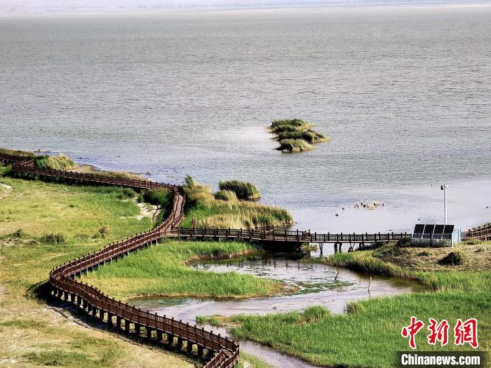 圖為都蘭湖國家濕地公園觀光棧道?！∑钤鲚?攝