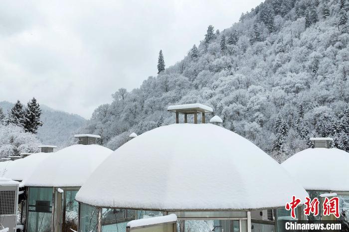 大熊貓國家公園王朗片區春雪如畫，宛若仙境?！×_春平 攝
