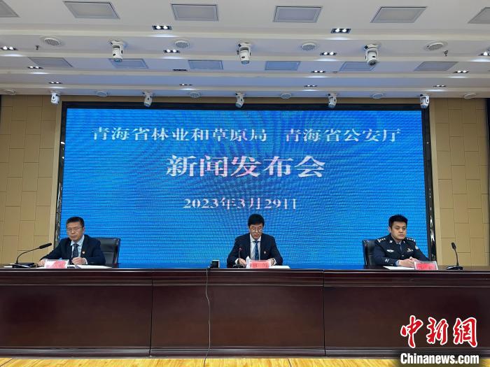青海去年占用林地、草地準予許可件同比實現“雙減”