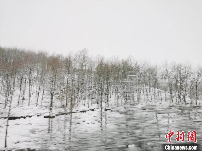圖為青海青沙山區域被降雪覆蓋?！執砀?攝