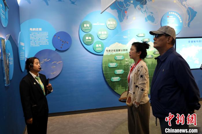 圖為臺商在祁連山國家公園生態科普館內聆聽講解?！⊙Φ?攝