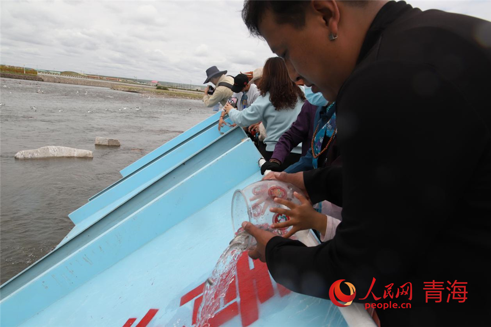 群眾放流青海湖裸鯉。人民網 陳明菊攝