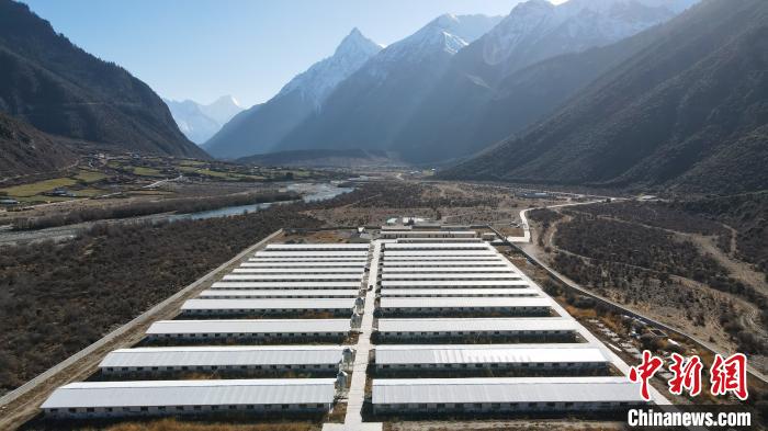 圖為西藏林芝市波密縣的標準化、產業化藏豬養殖基地?！〗w波 攝