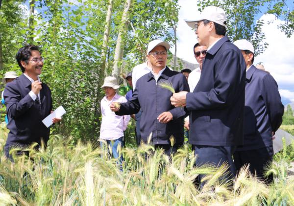 全國表彰大會上，為什么只有他沒到？