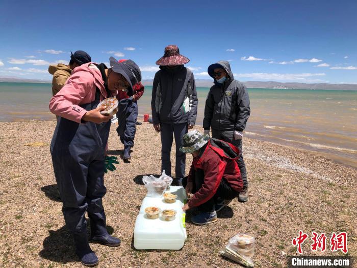 科考隊員在高原湖泊岸邊進餐?！?lt;a target='_blank' ><p  align=