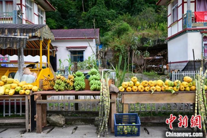 墨脫公路沿線，百姓擺攤銷售當地物產，包含香蕉、甘蔗、檸檬等。(<a target='_blank' href='/'><p  align=