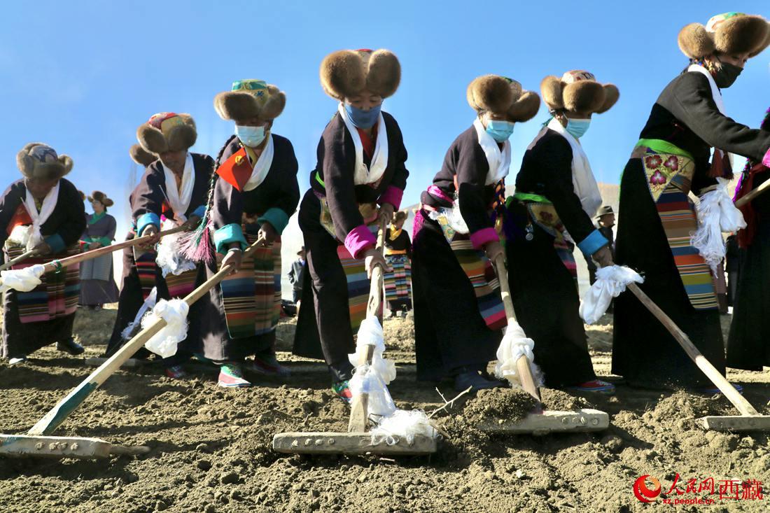 當地村民身著節日盛裝，舉行春耕儀式。人民網 次仁羅布攝