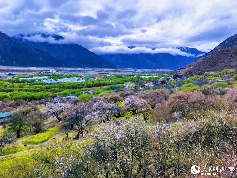 桃花從中的“童話小鎮”。人民網 李海霞攝