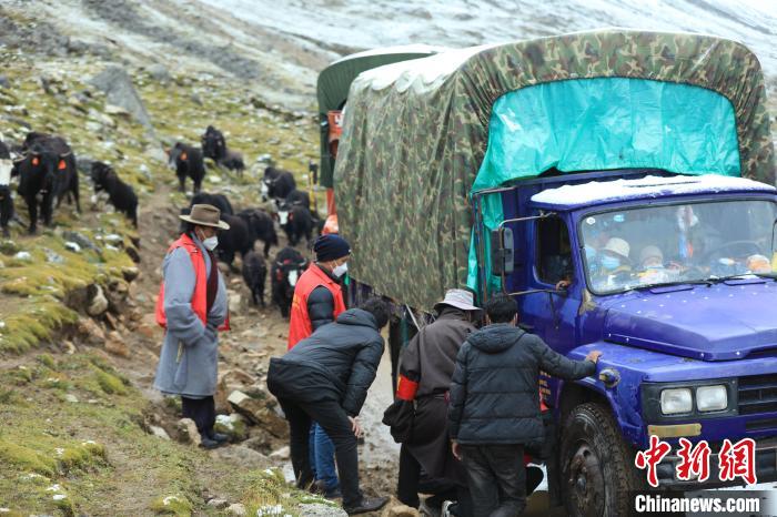 圖為牧民們查看車輛準備出發?！÷蹇?攝