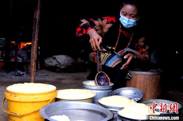 圖為牧民正在制作酥油?！∪湛t文聯供圖